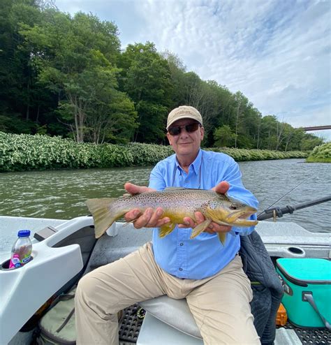 fish report delaware|delaware dnr fishing report.